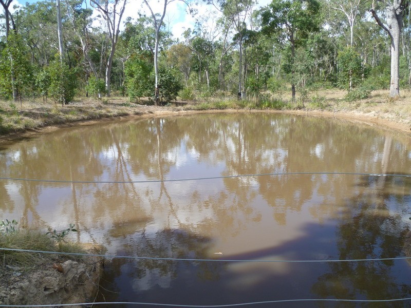 263 Webbs Road, Redridge QLD 4660