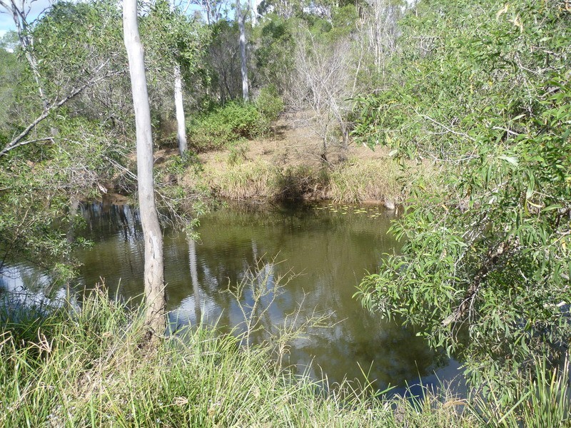 263 Webbs Road, Redridge QLD 4660