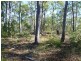 263 Webbs Road, Redridge QLD 4660