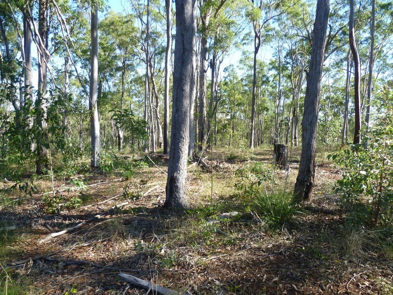 263 Webbs Road, Redridge QLD 4660