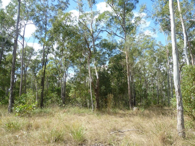 263 Webbs Road, Redridge QLD 4660