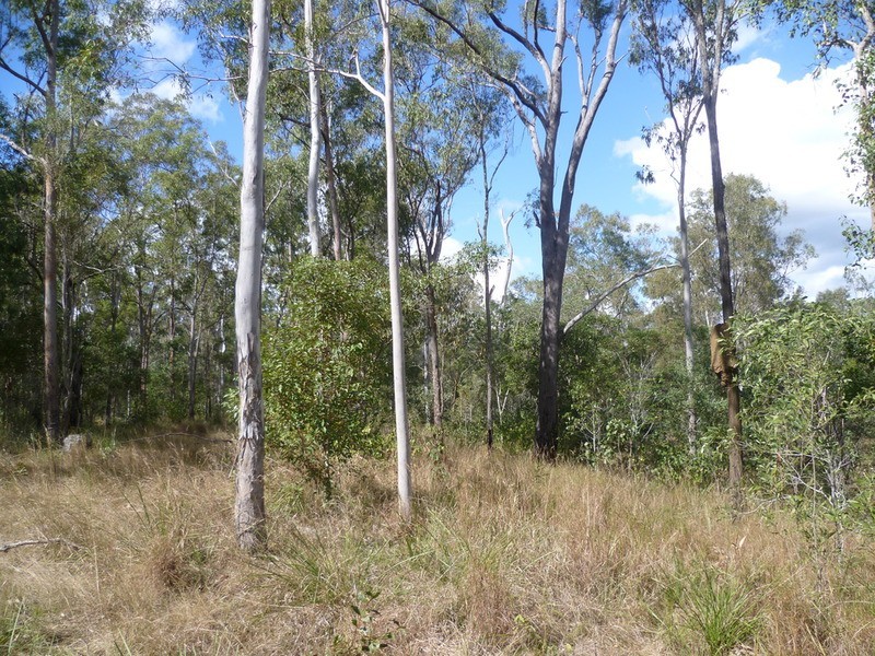 263 Webbs Road, Redridge QLD 4660