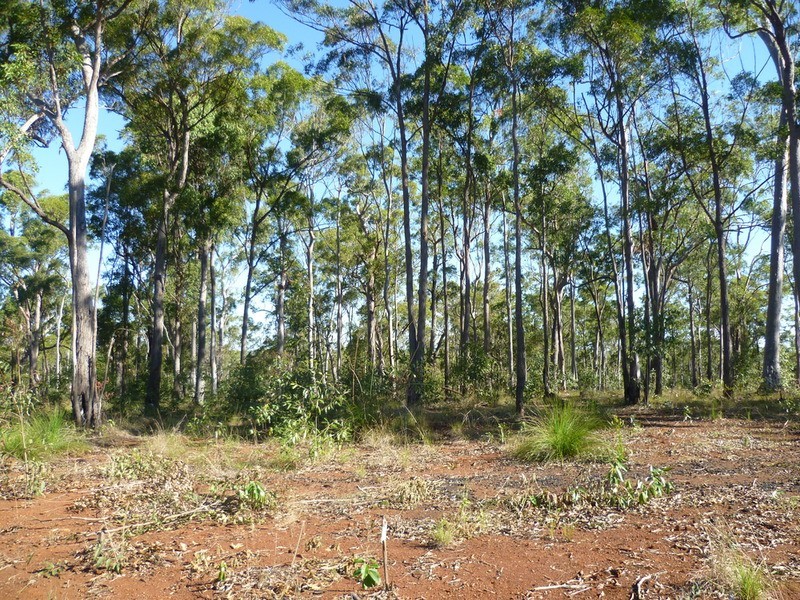 263 Webbs Road, Redridge QLD 4660