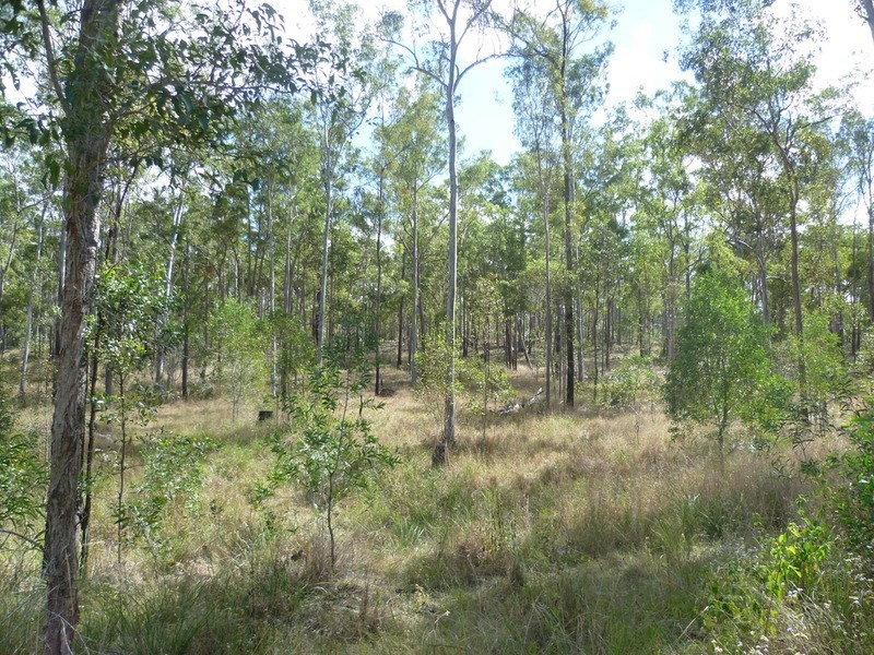 263 Webbs Road, Redridge QLD 4660