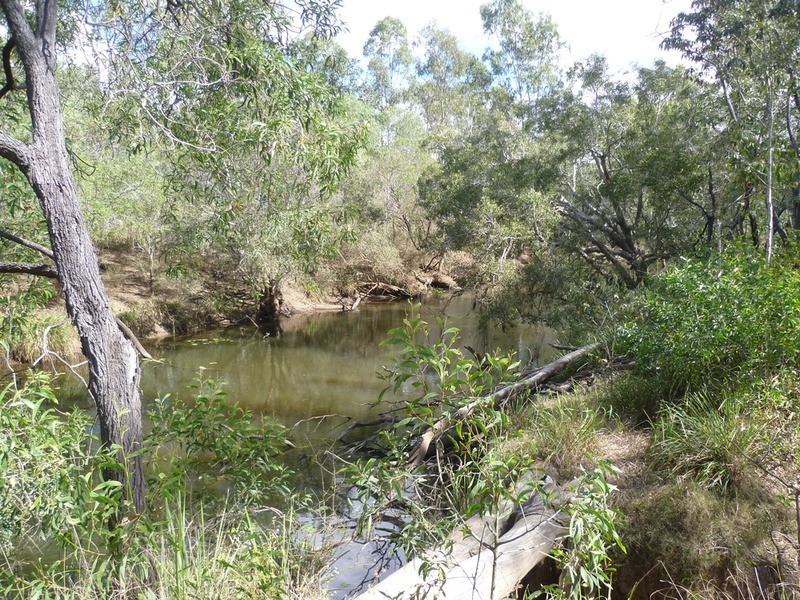 263 Webbs Road, Redridge QLD 4660