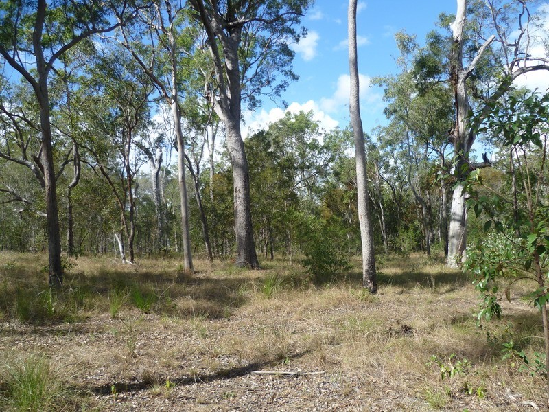 263 Webbs Road, Redridge QLD 4660