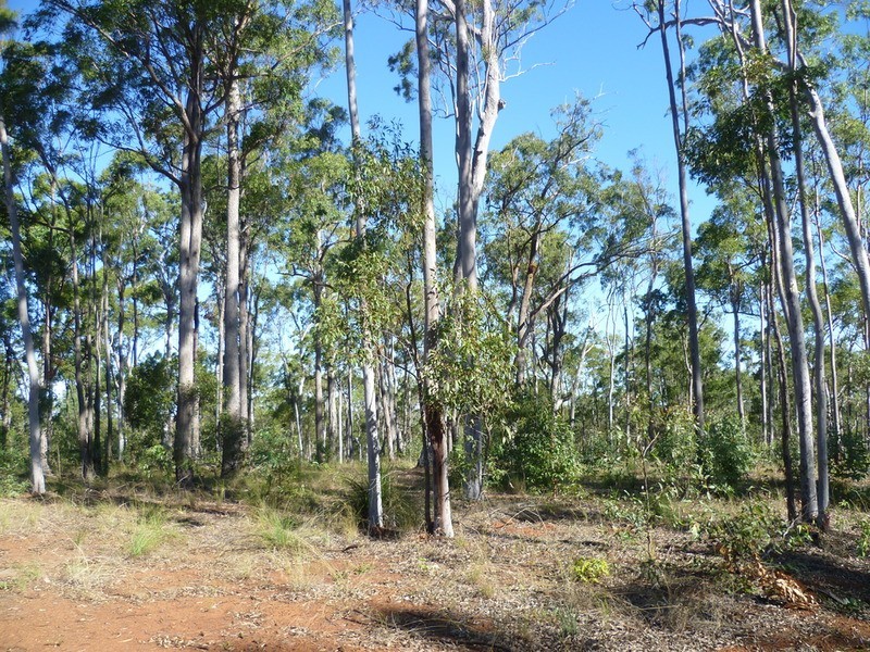 263 Webbs Road, Redridge QLD 4660