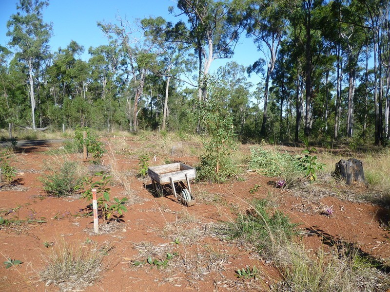 263 Webbs Road, Redridge QLD 4660