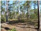 263 Webbs Road, Redridge QLD 4660