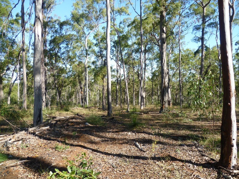 263 Webbs Road, Redridge QLD 4660