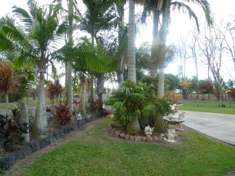 94 Foleys Road, North Gregory QLD 4660