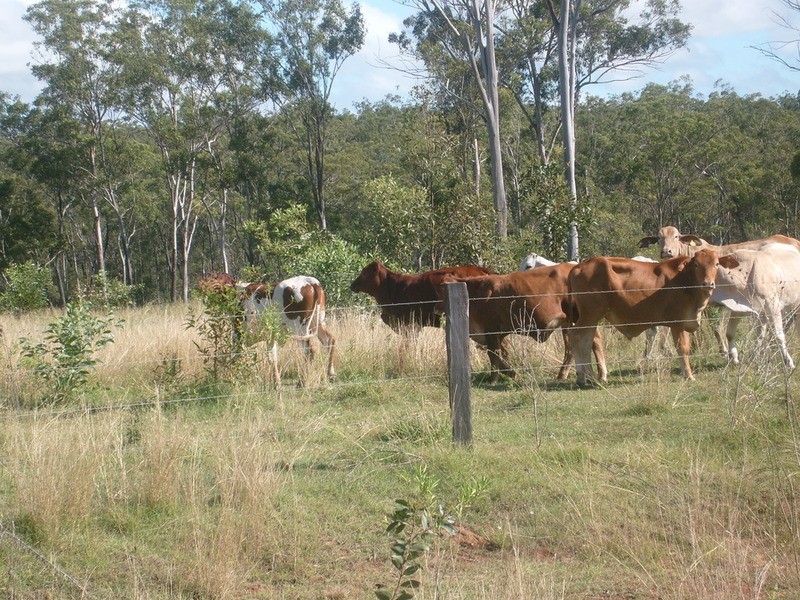 25/89 Corfield Drive, Booyal QLD 4671