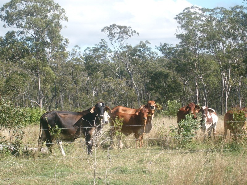 25/89 Corfield Drive, Booyal QLD 4671