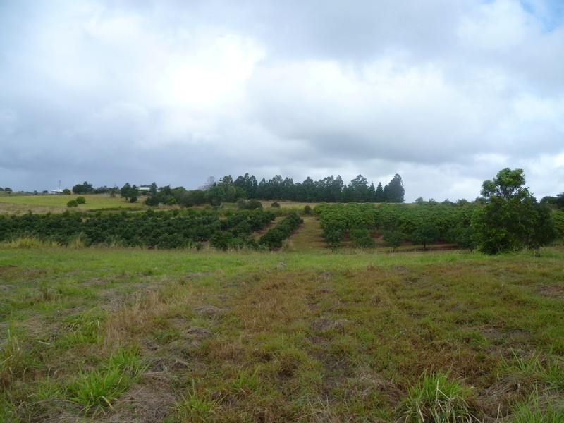 33 Stantons Road, North Isis QLD 4660