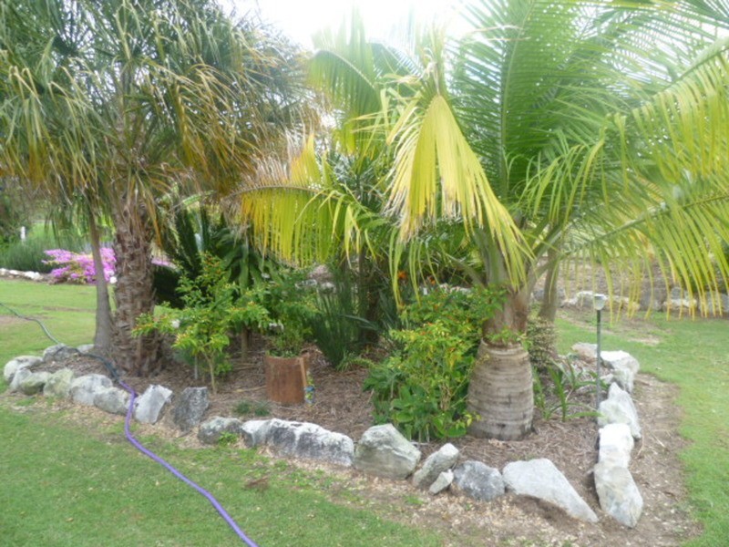 10 Lister Street, Apple Tree Creek QLD 4660