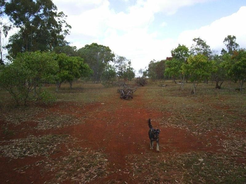300 Hodges Road, Cordalba QLD 4660