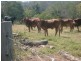 694 River Road, Bungadoo QLD 4671