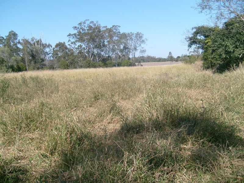 694 River Road, Bungadoo QLD 4671