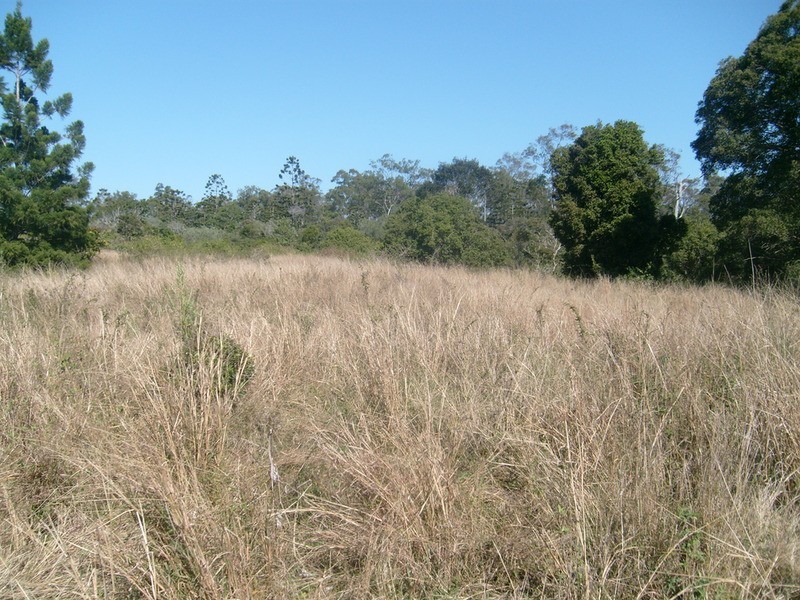 694 River Road, Bungadoo QLD 4671
