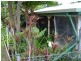 51 Hodges Road, Cordalba QLD 4660