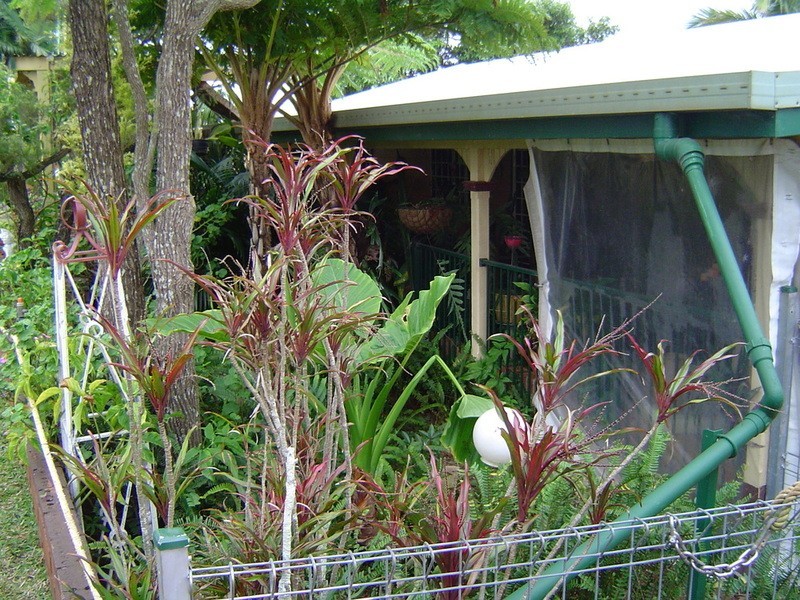 51 Hodges Road, Cordalba QLD 4660