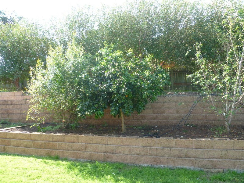 4 Pioneer Avenue, Childers QLD 4660