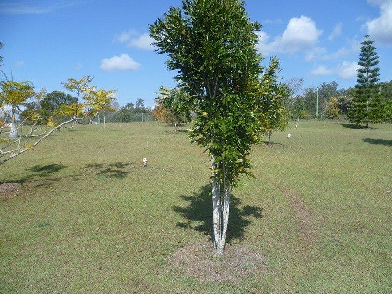 60 Lake View Drive, Apple Tree Creek QLD 4660