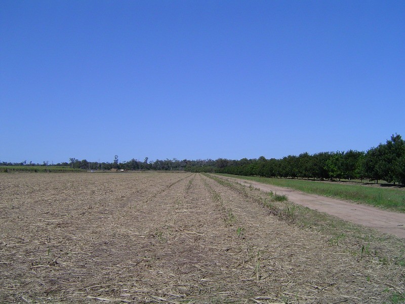 996 Foleys Road, North Gregory QLD 4660