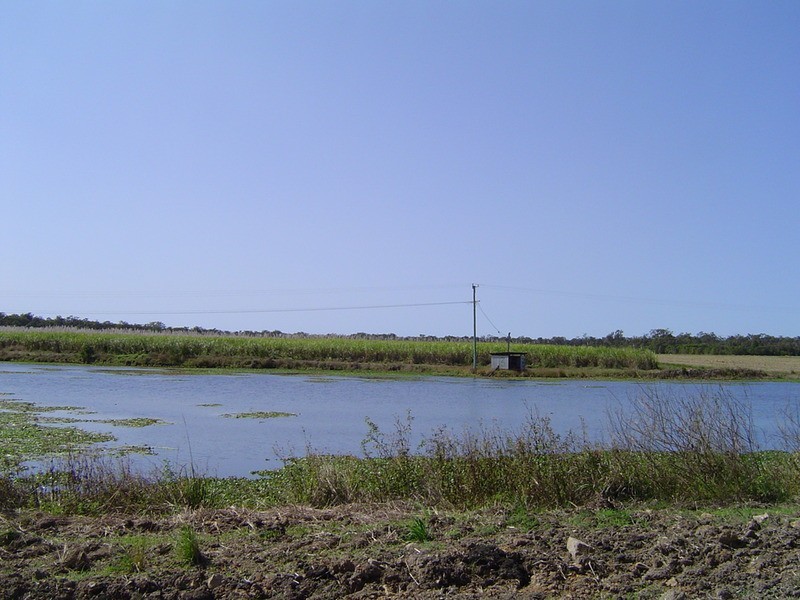 996 Foleys Road, North Gregory QLD 4660