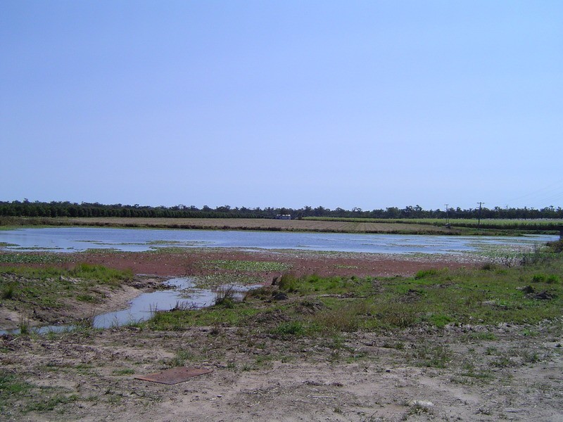 996 Foleys Road, North Gregory QLD 4660