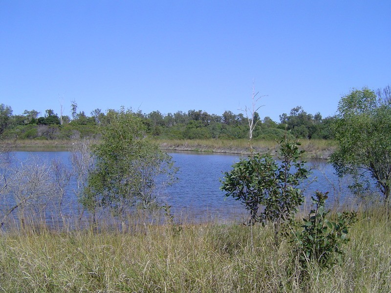 996 Foleys Road, North Gregory QLD 4660