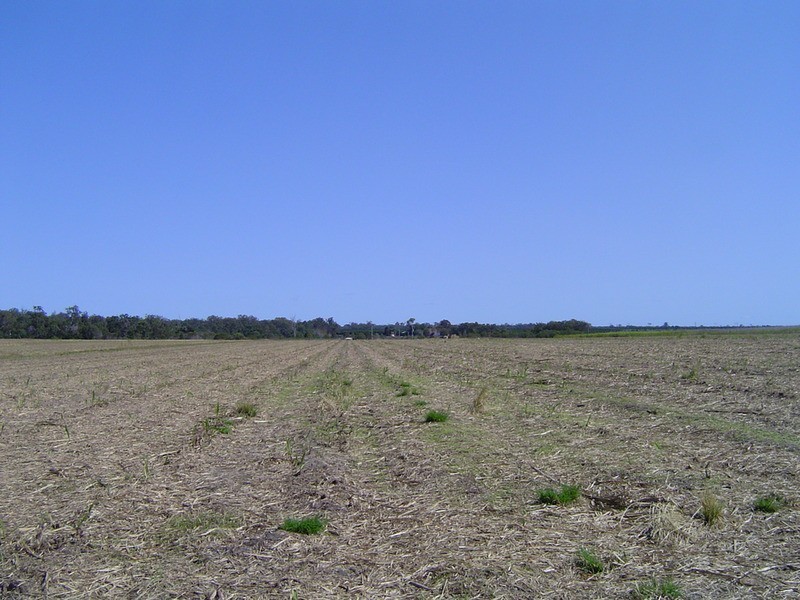 996 Foleys Road, North Gregory QLD 4660