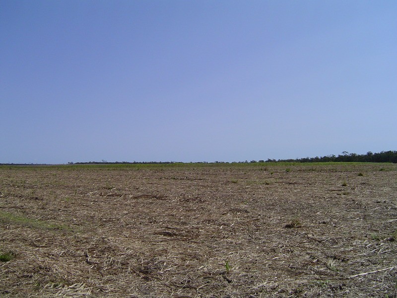 996 Foleys Road, North Gregory QLD 4660