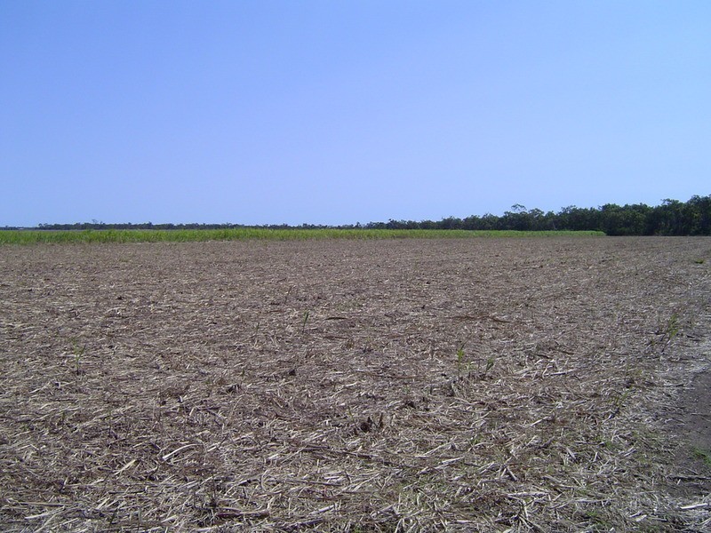 996 Foleys Road, North Gregory QLD 4660