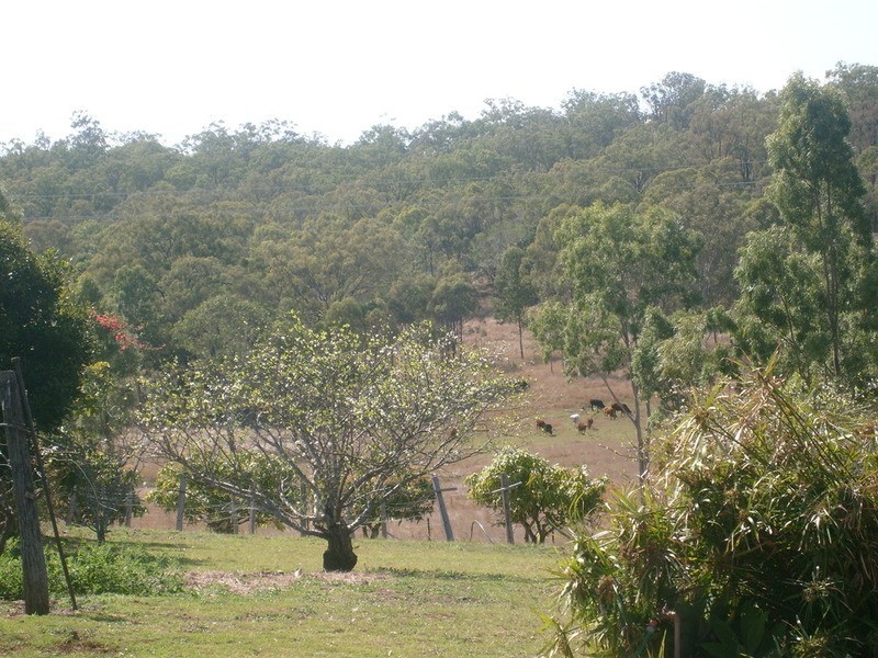 8049 Isis Highway, Dallarnil QLD 4621