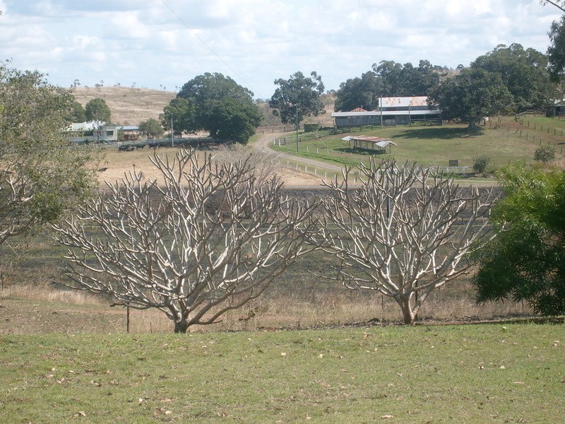 8049 Isis Highway, Dallarnil QLD 4621