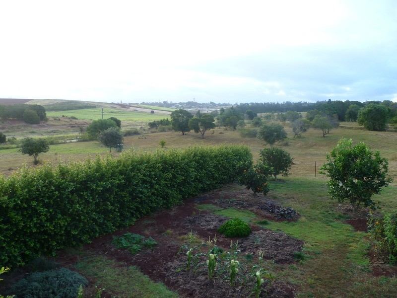 121 Butchers Road, South Isis QLD 4660