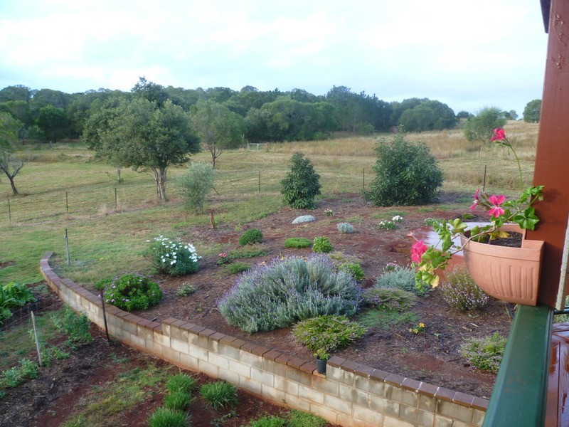 121 Butchers Road, South Isis QLD 4660