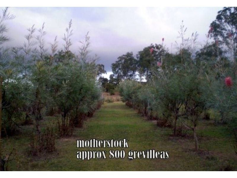 46 Hairs Road, Bungadoo QLD 4671