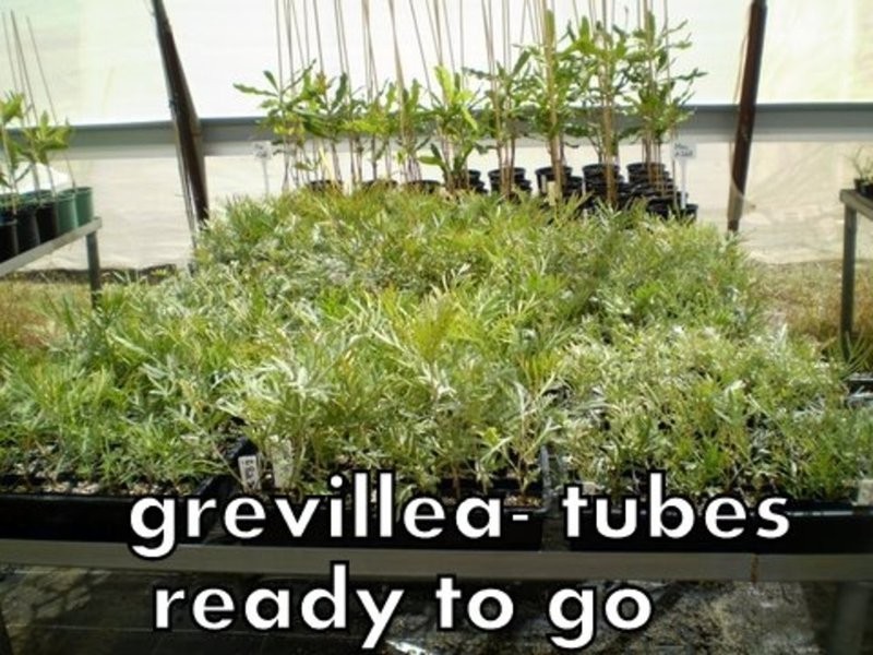 46 Hairs Road, Bungadoo QLD 4671