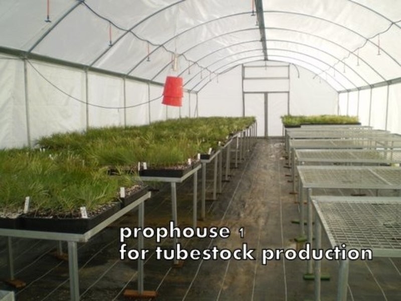 46 Hairs Road, Bungadoo QLD 4671