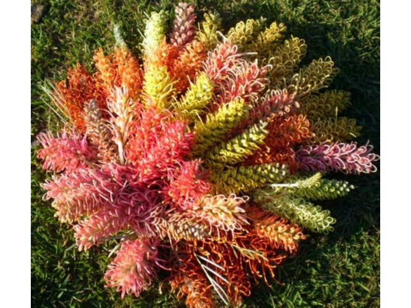 46 Hairs Road, Bungadoo QLD 4671