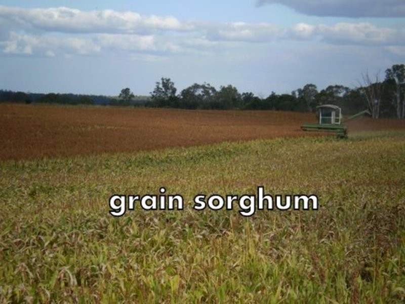 46 Hairs Road, Bungadoo QLD 4671