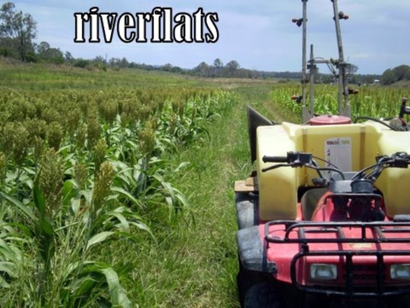 46 Hairs Road, Bungadoo QLD 4671