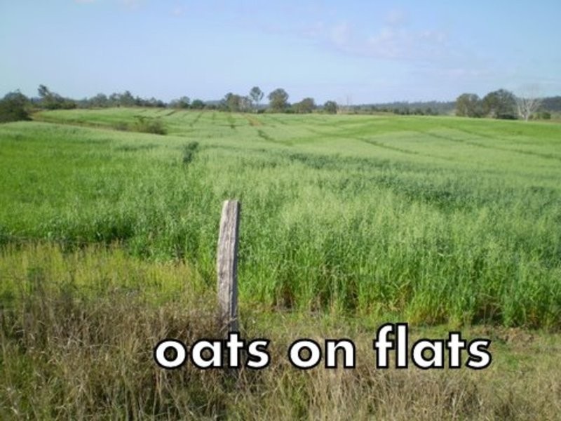 46 Hairs Road, Bungadoo QLD 4671