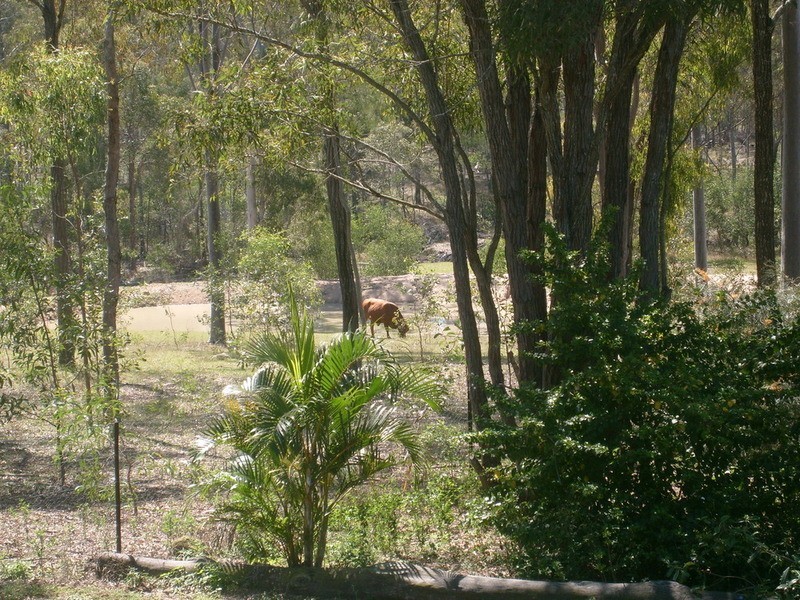 73 Howards Road, Apple Tree Creek QLD 4660