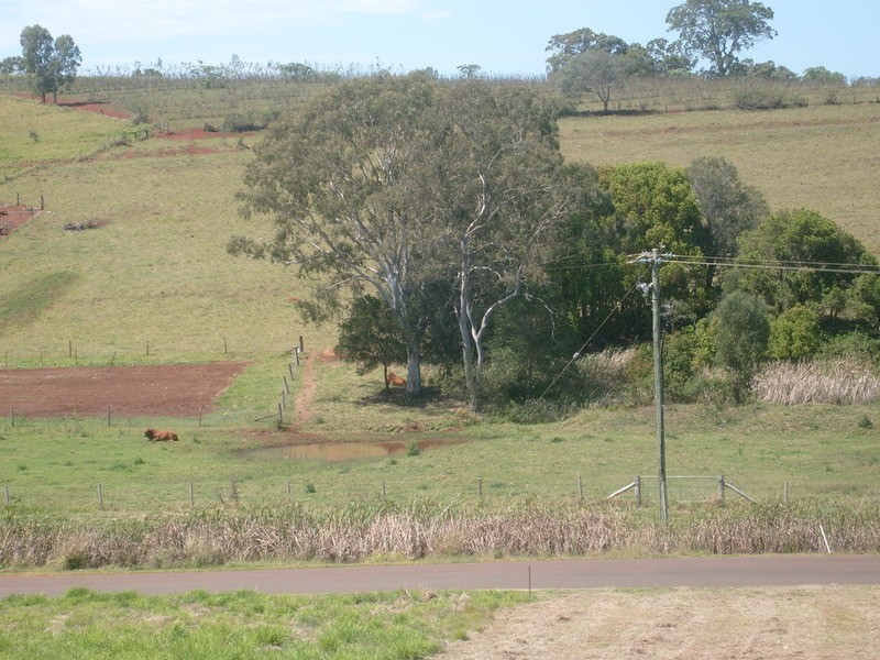 2 Bodalla Street, Apple Tree Creek QLD 4660