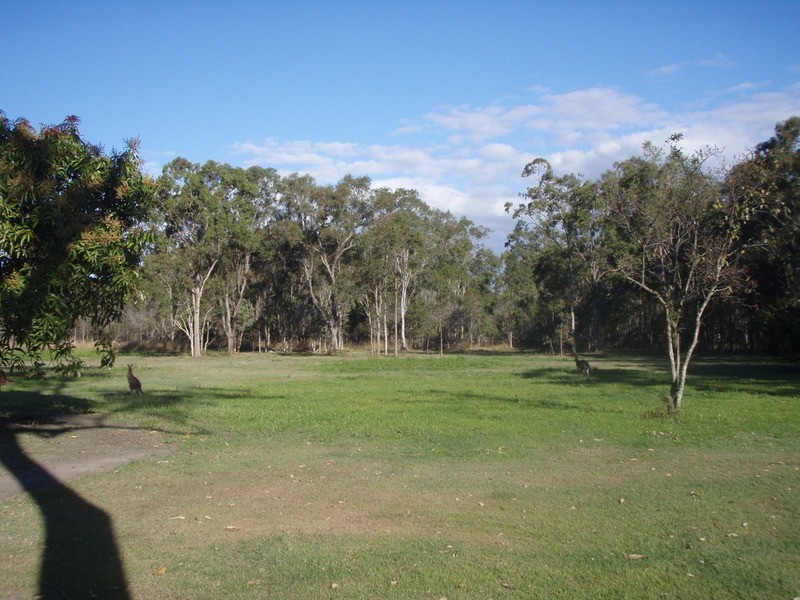 1263 Childers Road, Branyan QLD 4670