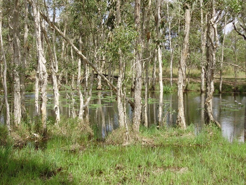 27 Gastons Road, Redridge QLD 4660