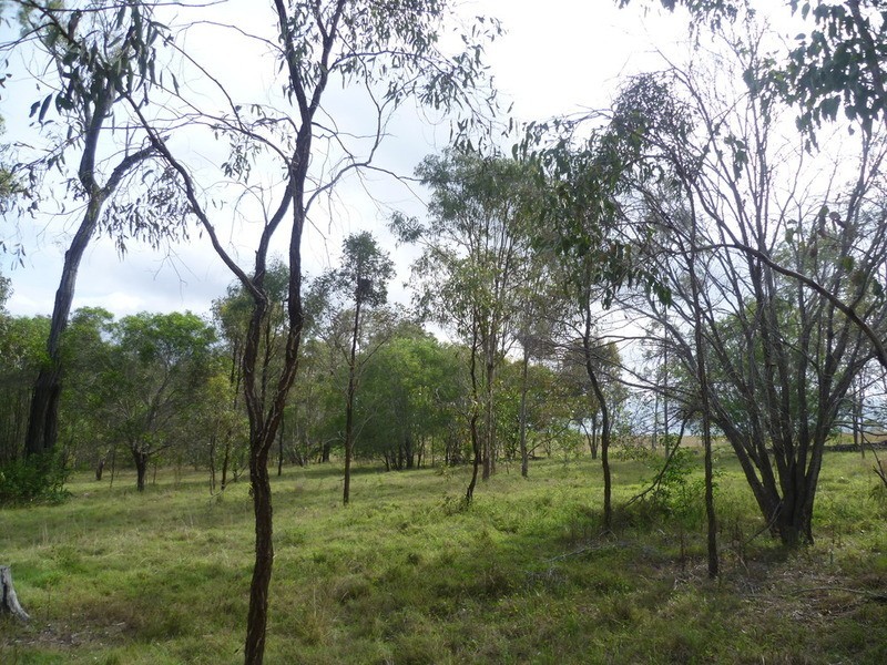 64 Nielsons Road, Good Night QLD 4671